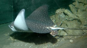 obr1_119.jpg